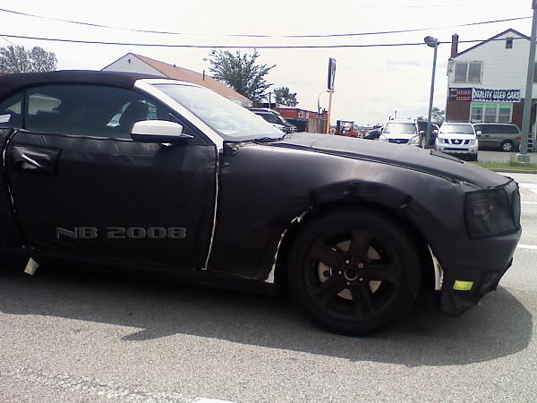Caught this Driving Around Town-mustang5.jpg