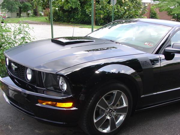 Stangnet says there WILL be a 2010 Boss Mustang.  WTF?-dsc09630.jpg
