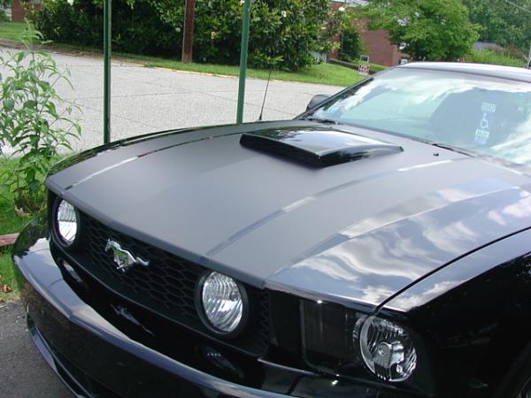 Stangnet says there WILL be a 2010 Boss Mustang.  WTF?-dsc09623.jpg