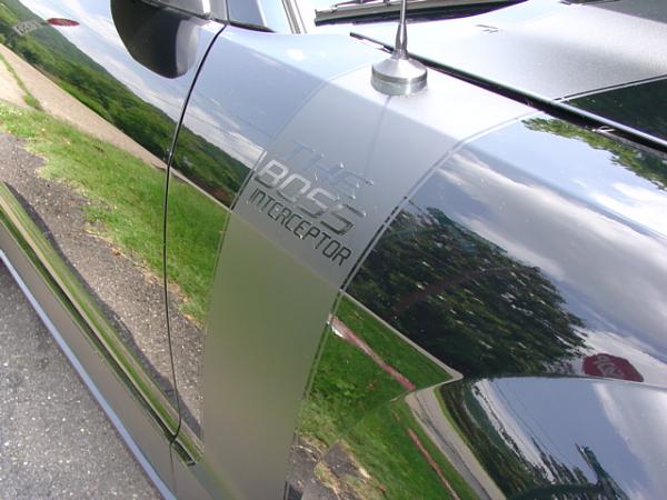 Stangnet says there WILL be a 2010 Boss Mustang.  WTF?-dsc09627.jpg