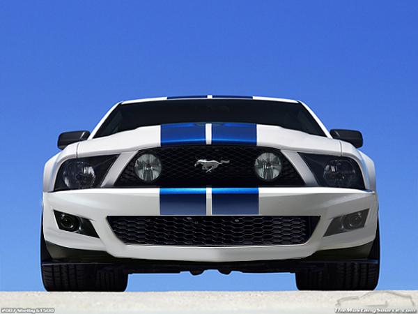 Remember that still from the Shelby video?-2010a.jpg