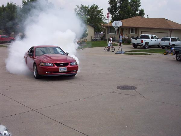 2010 Mustang Hood PIC!-july04-08003.jpg