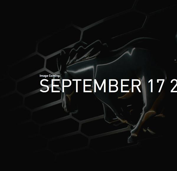 2010 Teaser pics from Ford - Nov 12th up... sorta-pony.jpg