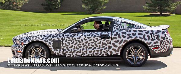 2010 Shelby Coupe-jpg.jpg