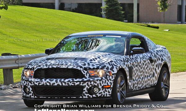 2010 Shelby Coupe-55.jpg