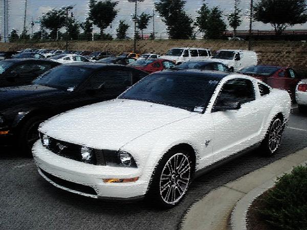 2010 Colors?-95106387-3sm.jpg