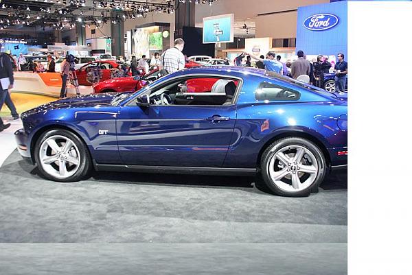 What do you think of the new 2010?-img_5628_jpg.jpg