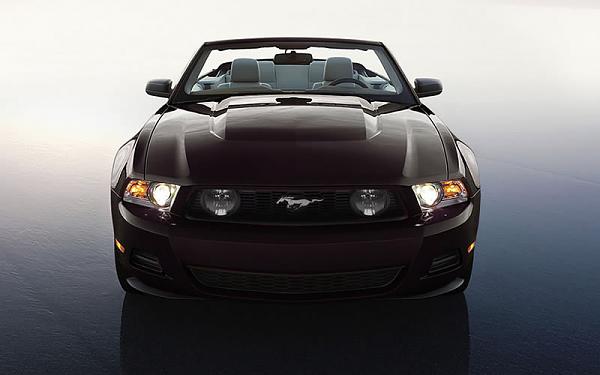 Front end: GT versus V6-2010_chop_2.jpg