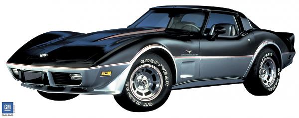 Black Plastic, Mutton chops and all....-78-vette-pace.jpg