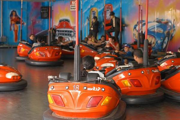 Ford Racing's First 2010-bumpercars1.jpg