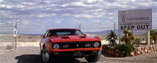 Mutton Chops-ford-mustang002.jpg