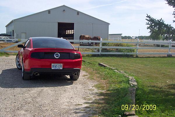2010 Lowering Springs-100_4062_edited.jpg