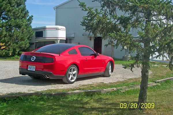 2010 Lowering Springs-100_4063_edited.jpg