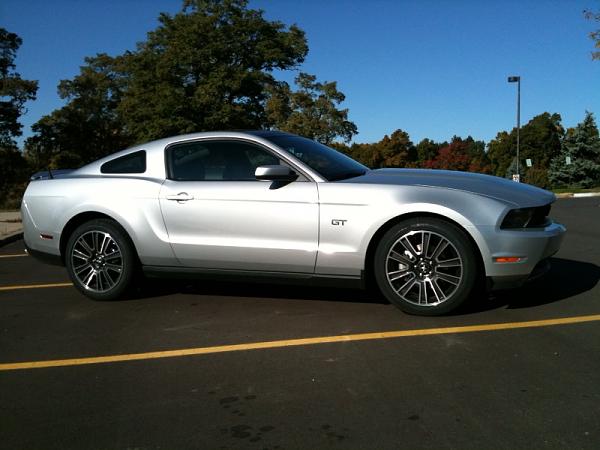 Best things come to those who wait......-stang-1a.jpg