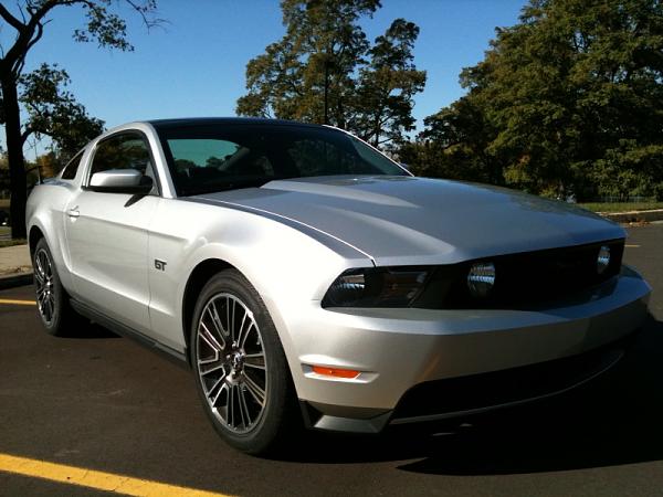 Best things come to those who wait......-stang-1b.jpg
