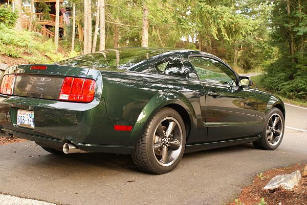 Grabber Blue GT/CS-dsc04800.jpg