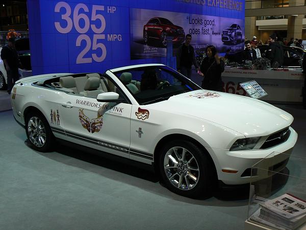 Chicago Auto Show-p1100415.jpg