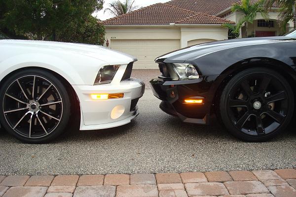 SIKK 2010GT vs GT500 photoshoot-dsc09361.jpg