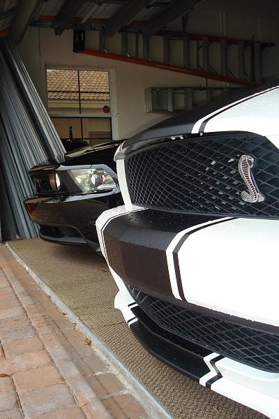 SIKK 2010GT vs GT500 photoshoot-dsc09350.jpg