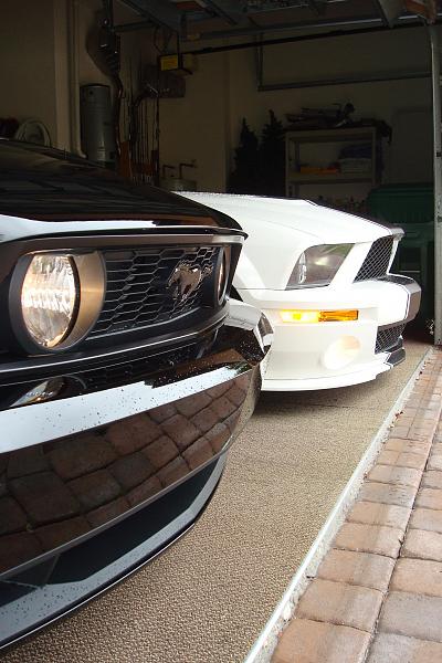 SIKK 2010GT vs GT500 photoshoot-dsc09351.jpg