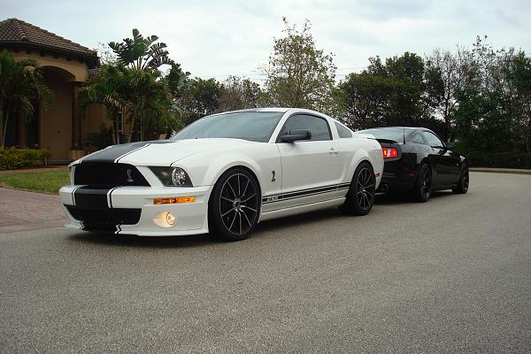 SIKK 2010GT vs GT500 photoshoot-dsc09353.jpg