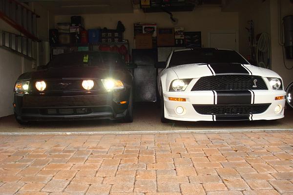 SIKK 2010GT vs GT500 photoshoot-dsc09347.jpg