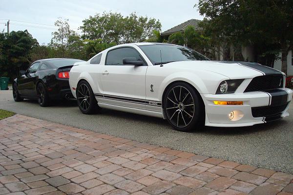 SIKK 2010GT vs GT500 photoshoot-dsc09360.jpg