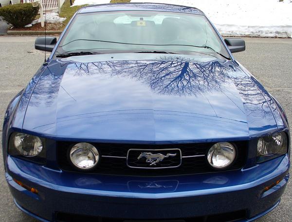 Should I get my new Mustang immediately washed and waxed?-p100078crop.jpg