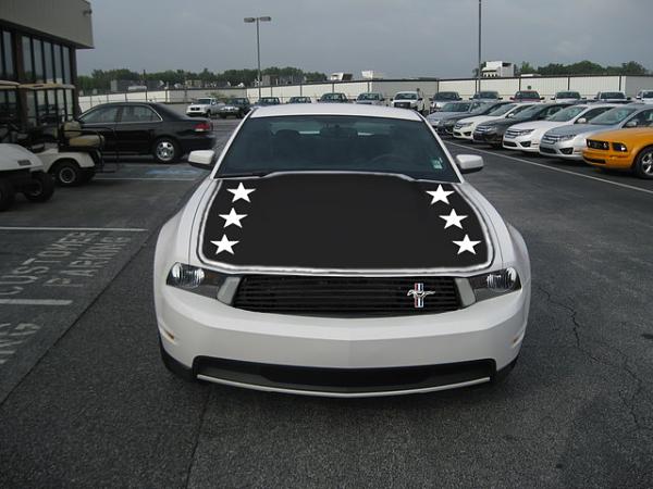 Early Stripe Ideas - Opinions Please-starmustang.jpg