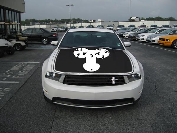 Early Stripe Ideas - Opinions Please-penismustang.jpg