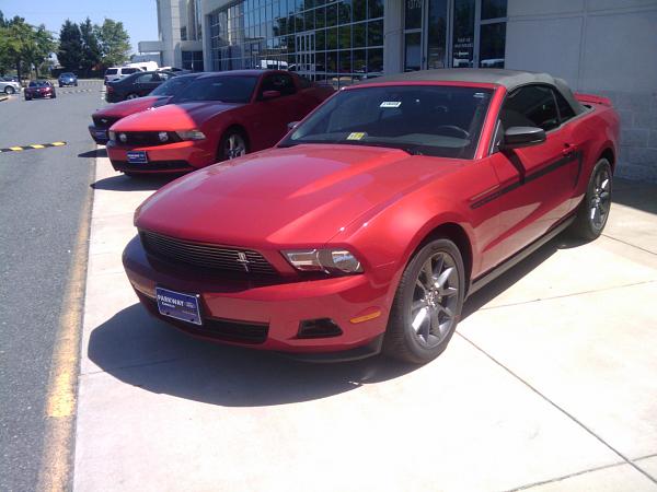 Two 2011 V6 Mustangs on the ground in NoVA - Cowles Ford-2010-04-29-12.48.15.jpg