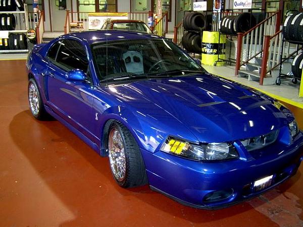 Performance White owners/orders - need assistance-sonic-blue.jpg