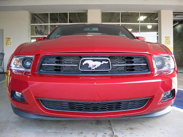 Ordered my 2011 V-6 Premium.-img_0303.jpg