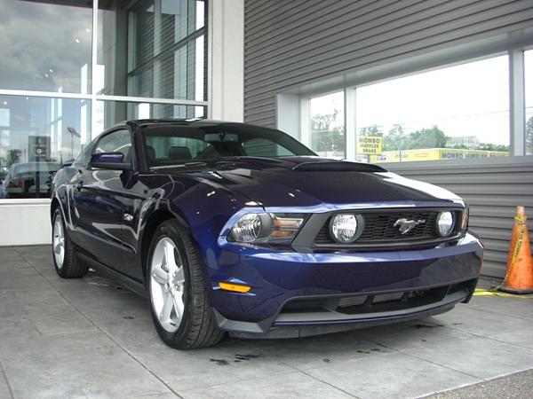 MY BABY IS FINALLY HERE!!!-2011-blue-beauty-001.jpg