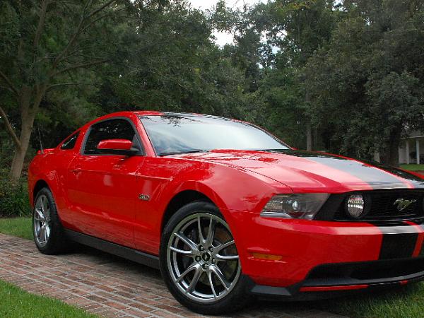 Sticky for guys receiving their 2011 to post pics in-6-13-2010-004.jpg