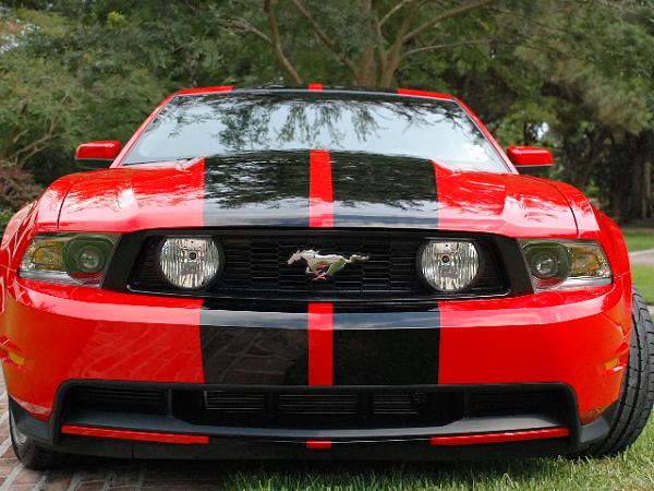 Sticky for guys receiving their 2011 to post pics in-6-13-2010-009.jpg