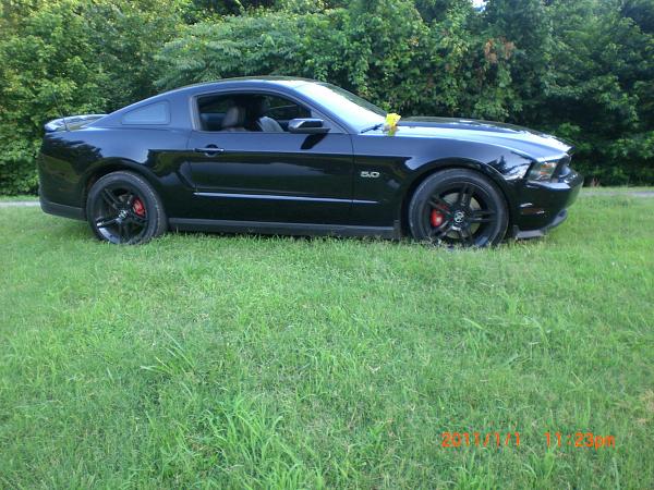 Hey guys, Thought I'd share some pics of my 5.0-016.jpg