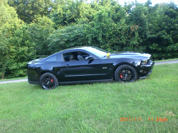 Hey guys, Thought I'd share some pics of my 5.0-017.jpg