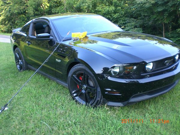 Hey guys, Thought I'd share some pics of my 5.0-015.jpg