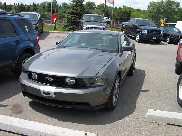 Pics of my 5.0 being picked up tomorrow!-img_0914.jpg