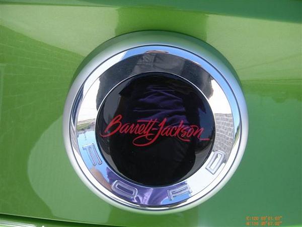Green 2010 Mustang-stang6.jpg