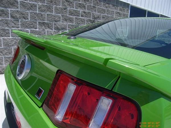 Green 2010 Mustang-stang7.jpg