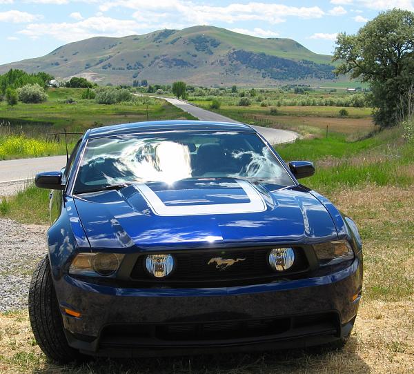 Put your 2011 Mustang pics here please...-img_0566a.jpg