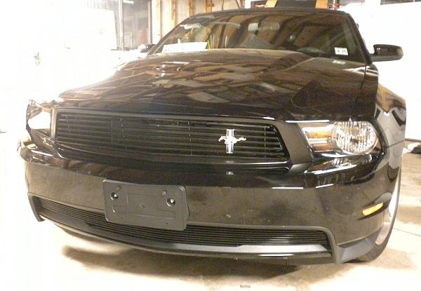 Installed: Stack Racing Black Billet Grilles-dscn0483.jpg