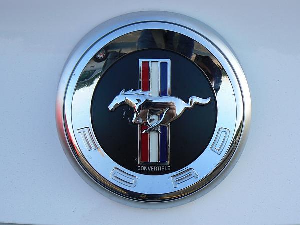 2011 Mustang rear badge-p1120285a.jpg