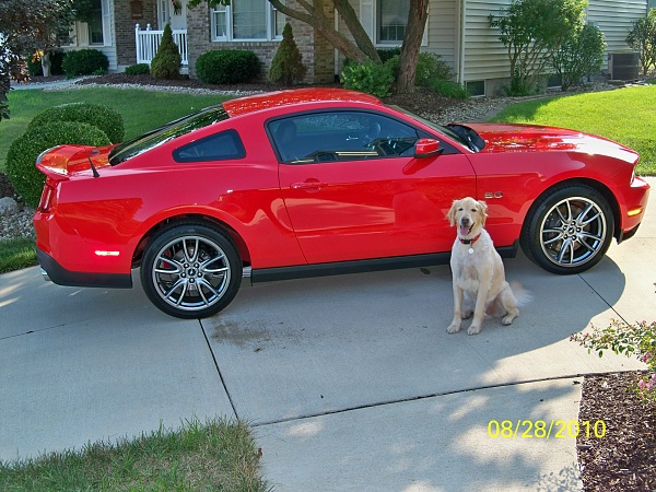 Mans two best friends-m-m1.jpg
