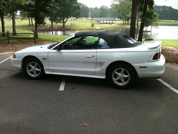 Bad News on my Order-232.jpg