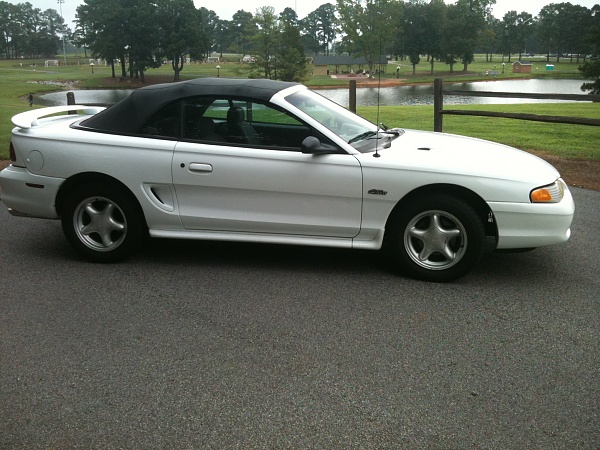 Bad News on my Order-236.jpg