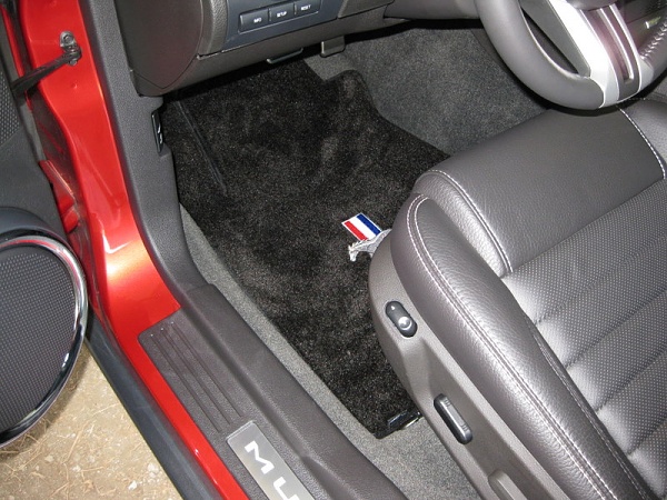 I bought Llyod Velourtex Floor Mats..-img_0370.jpg