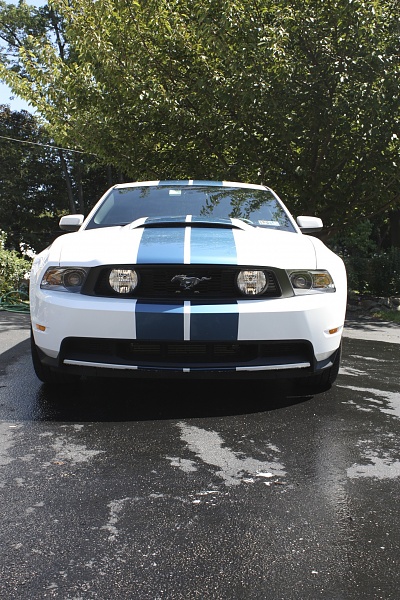 thinking about stripes on my car-153769137.jpg